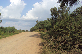 Jimma - Chida Road Design